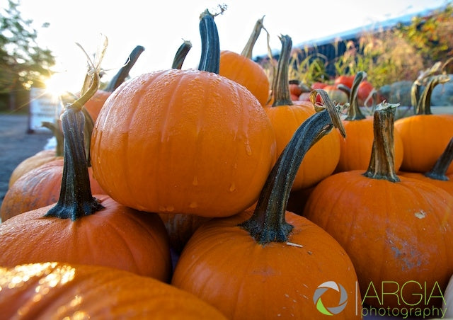 Travaux d'automne