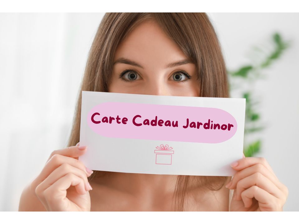 Carte-cadeau