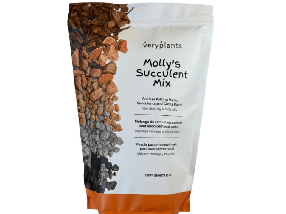 Molly's potting soil for cacti and succulents