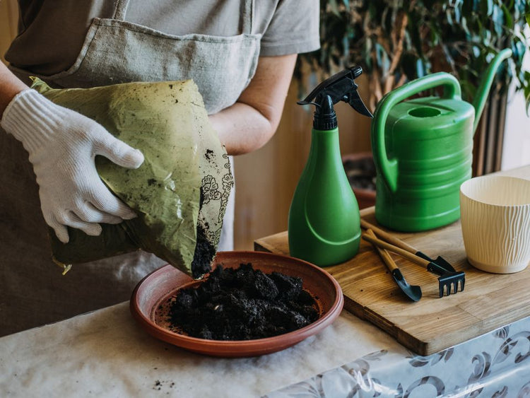 .Terreaux et substrats pour l'intérieur