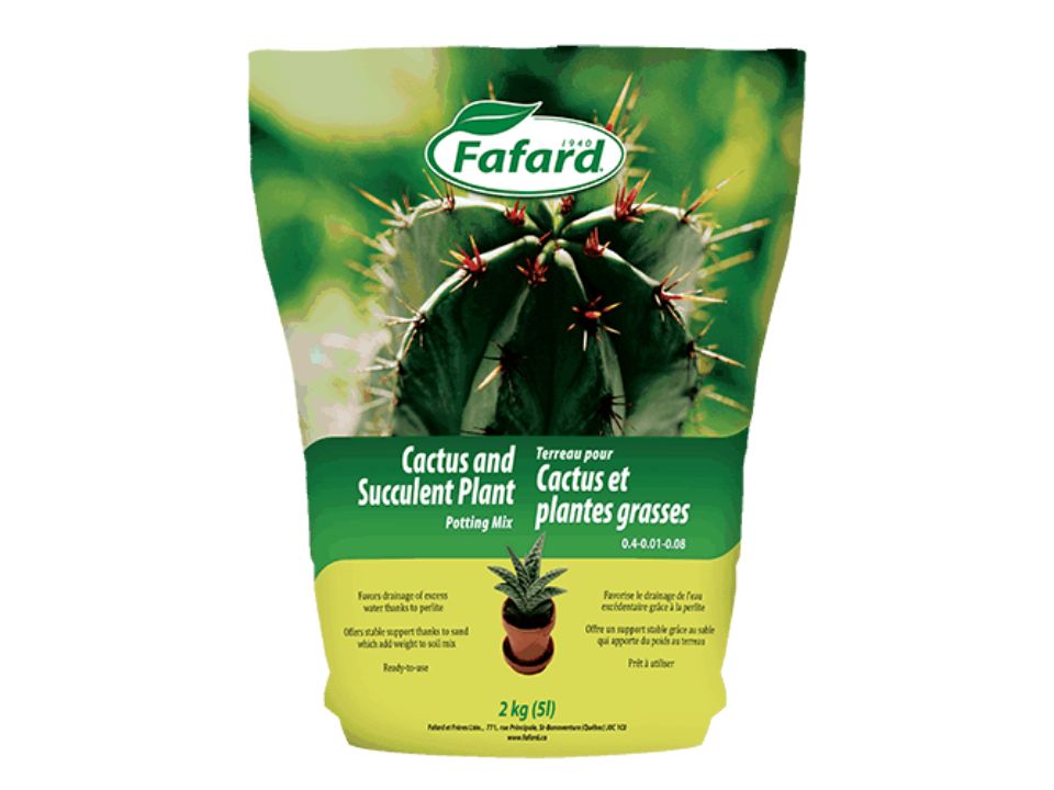 Terreau d'empotage pour cactus